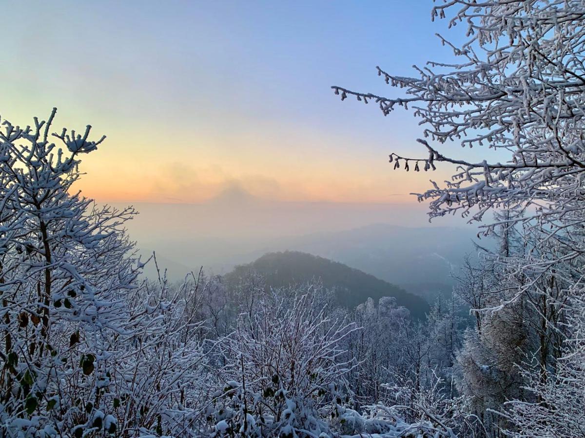 Harz Hotel Und Gaestehaus Am Bornweg バート・ザクサ エクステリア 写真