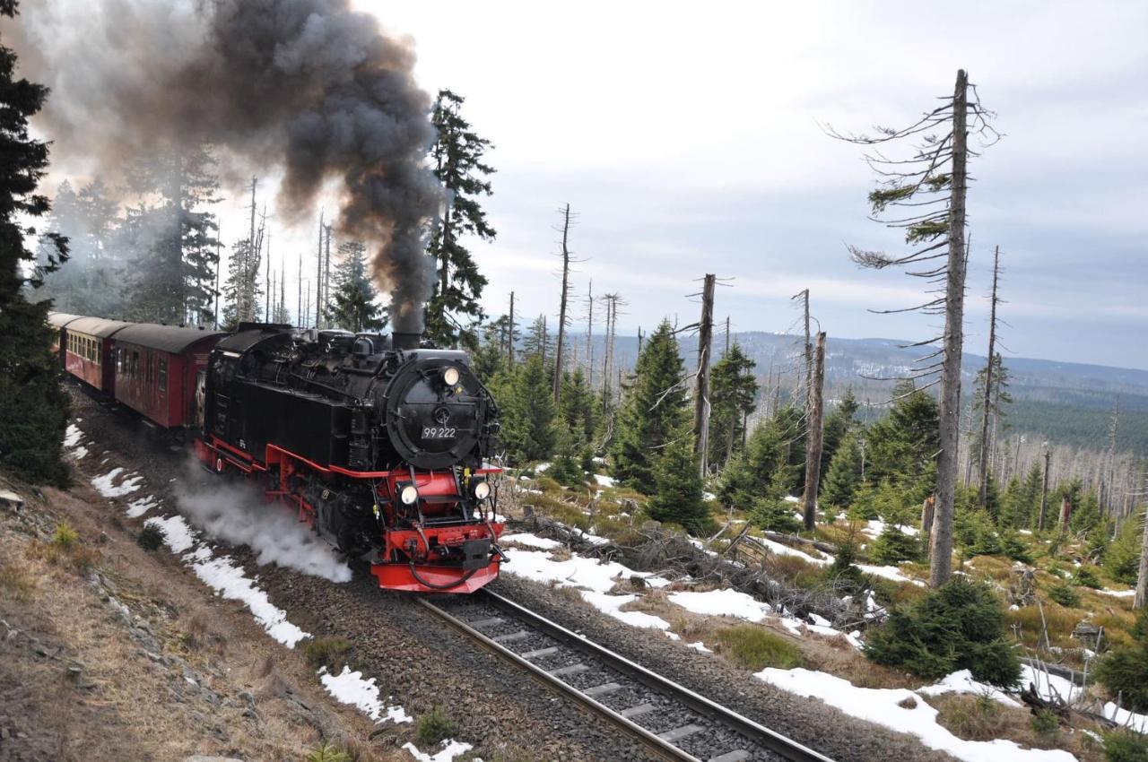 Harz Hotel Und Gaestehaus Am Bornweg バート・ザクサ エクステリア 写真