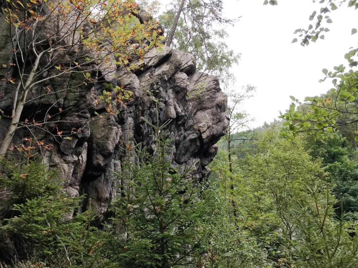 Harz Hotel Und Gaestehaus Am Bornweg バート・ザクサ エクステリア 写真